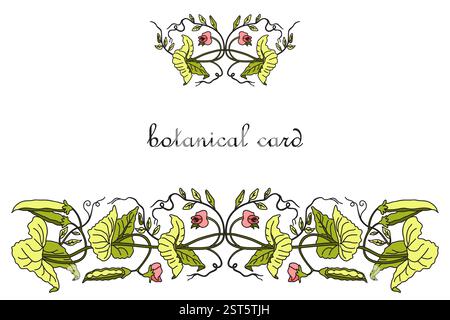 Botanical Card Design with floral elements. Hand drawn green peas plant with leaves and pods isolated on white background. Trendy artistic vector illu Stock Vector