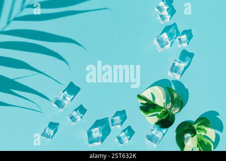 Summer day scene with ice cubes, palm leaf shadow and tropical monstera leaves on blue background. Sun and shadows. Stock Photo