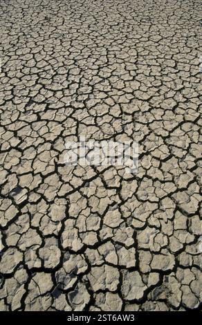 Cracked on earth, Clay pattern, prismatic structures in soil, drought Stock Photo