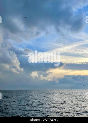 Seagulls flying over the Turkish Gulf in Izmir city Stock Photo