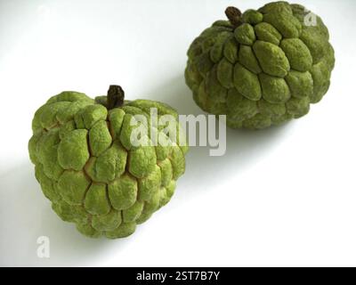 Fruits, Two green color Custard Apples food fruit on white background Stock Photo