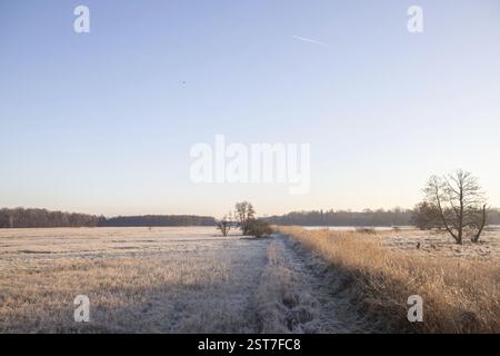 Winter landscape with frost at sunrise. Nature reserve with wild meadow covered in an icy landscape. Winter in nature and warm sunlight, open landscap Stock Photo