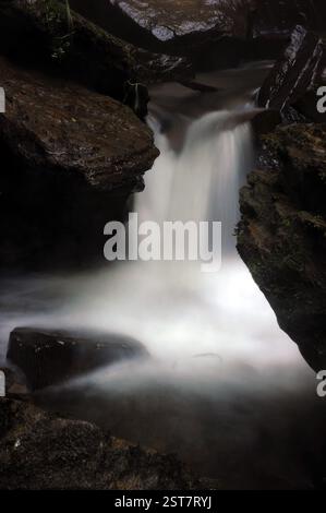 Melincourt Brook just below Melincourt Falls. Stock Photo