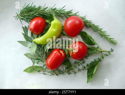 Fresh herbs and vegetables like tomatoes, basil, rosemary, thyme, and a green pepper arranged beautifully on white. Vibrant colors and textures convey Stock Photo