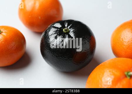 Stop racism. One black tangerine among orange ones on light background, closeup Stock Photo