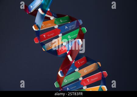 DNA structure model on dark background, closeup Stock Photo