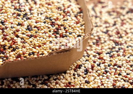 Cardboard box filled with dried mixed quinoa grains. Fresh nutritious pantry staple for balanced meals and plant-based recipes Stock Photo