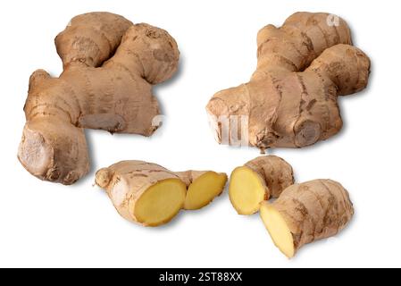 Ginger roots whole and cut isolated on white with clipping path included Stock Photo