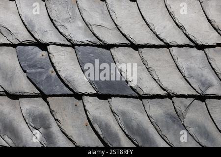 Curved slate shingles Stock Photo