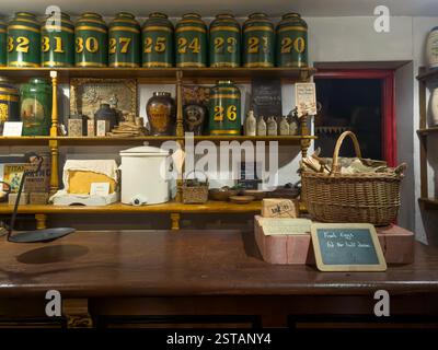 Replica of and early 20th century grocer’s shop, featuring a wooden counter with scales and rows of large tins filled with tea and coffee. UK Stock Photo