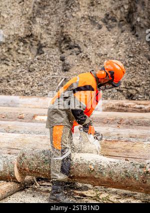 Man in uniform cuts an tree in an electric saw. Lumberjack in protective gear chopping wood in the forest with a chainsaw. Lumberjack at work wears Stock Photo