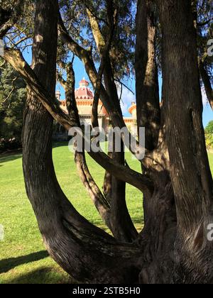 Lush green lawn stretches in front of large house with mountains behind ...
