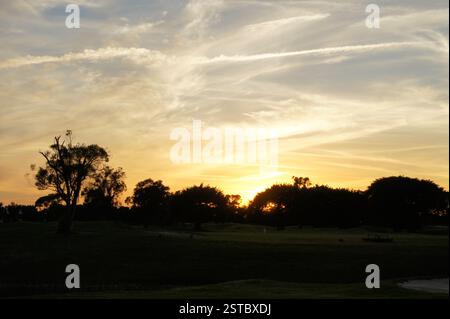 A vibrant Miami sunset paints the sky with color as the sun dips below the horizon, casting long shadows from the trees lining the edge of a manicured Stock Photo