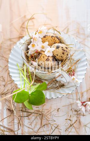 Fresh quail eggs in a cup, Easter decoration on kitchen table Stock Photo