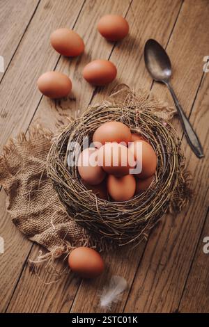 Organic brown eggs in a nest on kitchen table Stock Photo