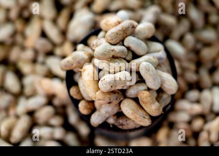 Close-up Top view of peanuts Stock Photo