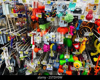 Lviv, Ukraine - February 16, 2025: Shelves filled with colorful pet toys and supplies for cats and dogs Stock Photo