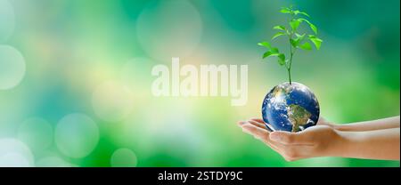 Hand holding plant on the world with sunny green grass bokeh background. Save clean planet, Save world and environment, Ecology, World Earth Day Stock Photo