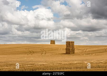 Straw bales stacked in field Stock Photo