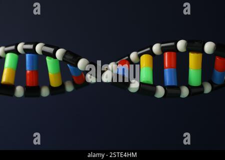 DNA structure model on dark background, closeup Stock Photo