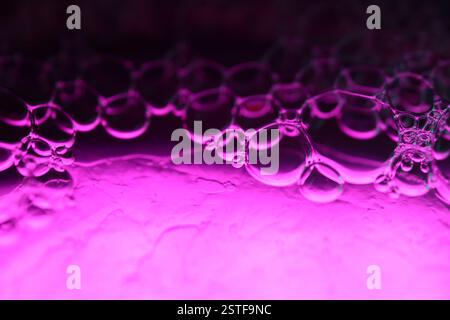 Pink bubbles in macro, bright liquid surface, bubbles in macro, perfect water forms, fantastic pattern, bright glossy texture Stock Photo