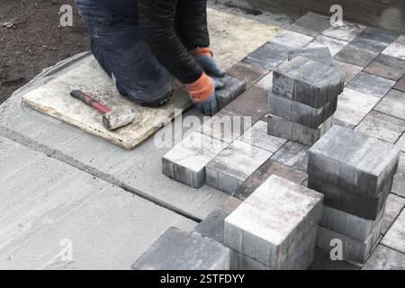 A skilled laborer carefully laying concrete bricks to create a paved surface outdoors, ensuring precision and durability in construction. Nearby, tool Stock Photo