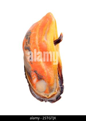 Meat Single Cooked Top view of single cooked or steamed green mussels is isolated on white ...