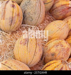 Melons Stock Photo