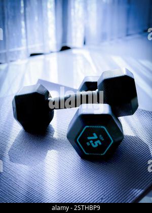 Dumbbells and Yoga Mat in Natural Light Hexagonal 7.5 kg dumbbells resting on a textured yoga mat, illuminated by natural light filtering through a cu Stock Photo