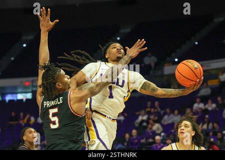 South Carolina forward Nick Pringle (5) is fouled by Tennessee forward ...