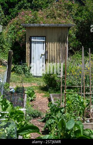 Community garden, Mount Crawford, Wellington, North Island, New Zealand Stock Photo