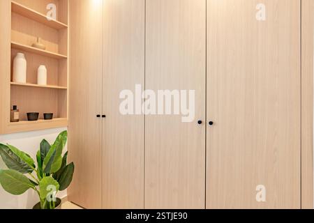 a close up image of newly fitted illuminated wardrobes and shelving in bedroom renovation Stock Photo
