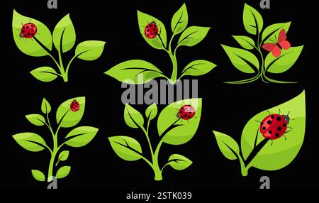 Colorful vector illustration of ladybugs and butterflies on green leaves with a dark background Stock Vector