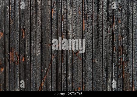 Charred wooden planks texture on a bright sunny day. Background of burnt wood boards. Scorched wooden wall became black by heat and fire. Full frame. Stock Photo