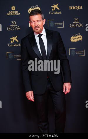 Antonio Banderas attends the red carpet