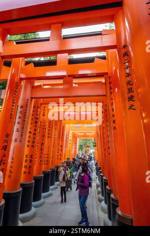 Orange Tori Gates at Fushimi Inari in Kyoto Japan Stock Photo - Alamy