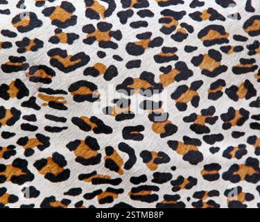 Leopard Pattern Stock Photo