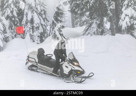 Man driving sports snowmobile SKI-DOO in park. Snowmobiler riding on a trail in a forest on a cold winter day. Young man rides a snowmobile on a snowy Stock Photo