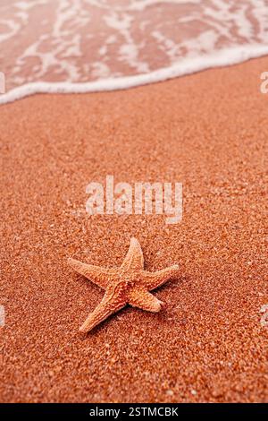Starfish lying on sand and soft surf wave on background Stock Photo