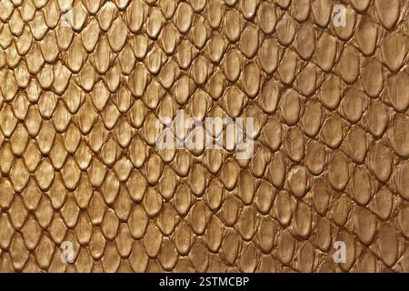 Golden Snake Leather Stock Photo