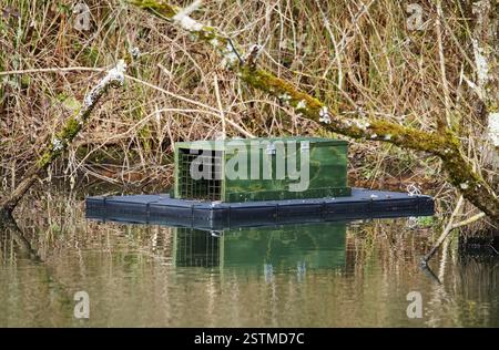 Trappers Raft Wildlife management trapping for predator control. Trapping hunting ...