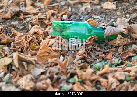 Italy, Lombardy, Empty Bottle Beer Lying on the Ground in a Park Under Leaves Stock Photo