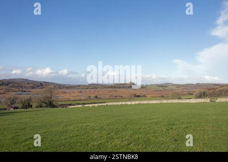 View of Leighton Moss RSPB Reserve from the lower slopes of Warton Crag Lancashre England Stock Photo