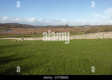 View of Leighton Moss RSPB Reserve from the lower slopes of Warton Crag Lancashre England Stock Photo