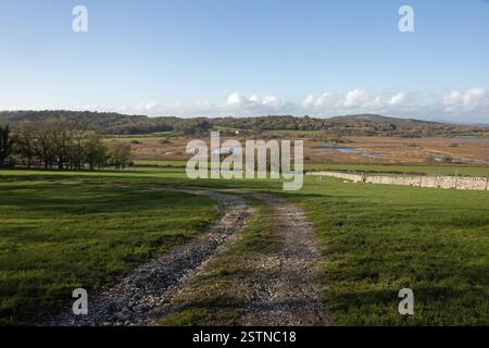 View of Leighton Moss RSPB Reserve from the lower slopes of Warton Crag Lancashre England Stock Photo