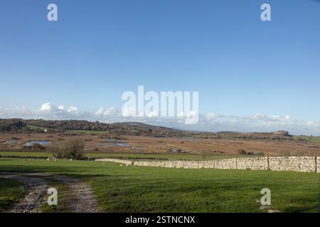 View of Leighton Moss RSPB Reserve from the lower slopes of Warton Crag Lancashre England Stock Photo