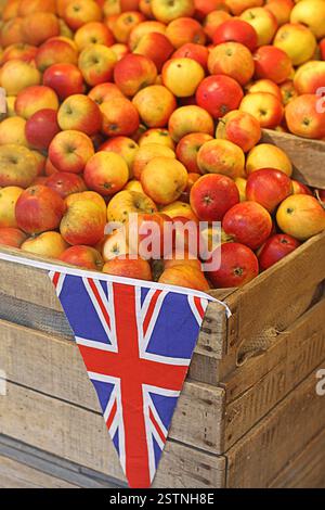 British Apples Stock Photo