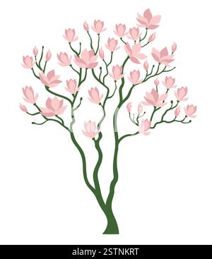 Blooming magnolia tree. Spring tree with pink flowers. Isolated vector illustration on white background. Stock Vector