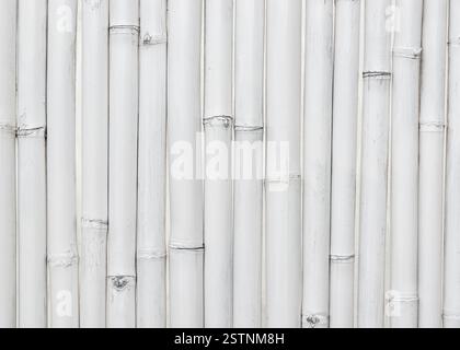 White bamboo wall texture Stock Photo