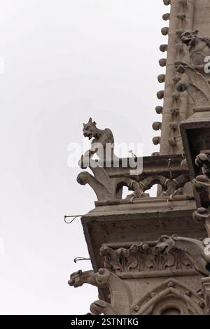 Gargoyles Notre Dame Stock Photo